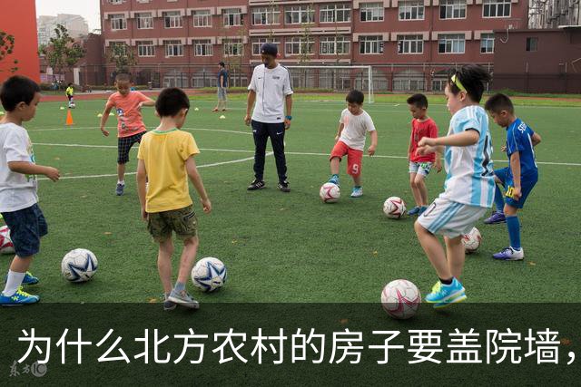 为什么北方农村的房子要盖院墙，南方农村的房子敞开？原因有四