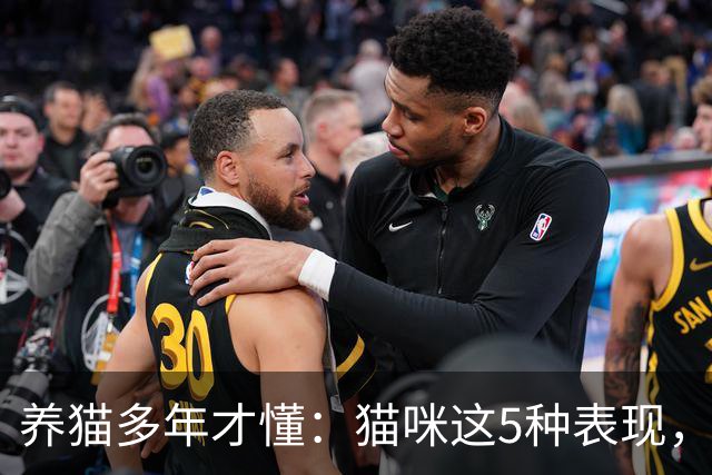 养猫多年才懂：猫咪这5种表现，不是撒娇，是旺家的征兆