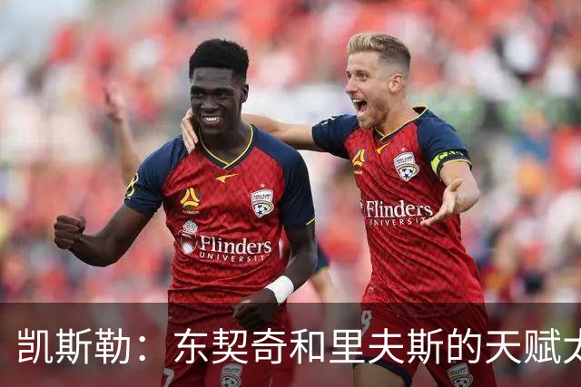 凯斯勒：东契奇和里夫斯的天赋太出众 跟他们并肩作战是一种享受