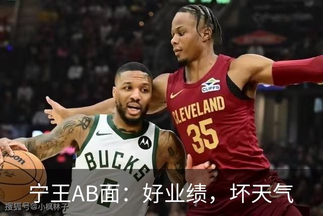 宁王AB面：好业绩，坏天气