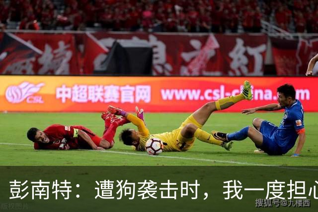 彭南特：遭狗袭击时，我一度担心会截肢