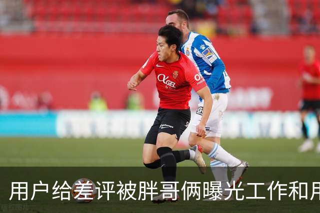 用户给差评被胖哥俩曝光工作和用餐照……谁在剥夺我们的评价权利？