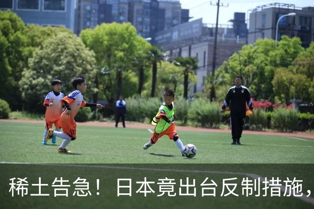 稀土告急！日本竟出台反制措施，同一天官宣高市拟赴深圳参加APEC