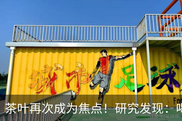 茶叶再次成为焦点！研究发现：喝得越多，寿命就越长？告诉你真相