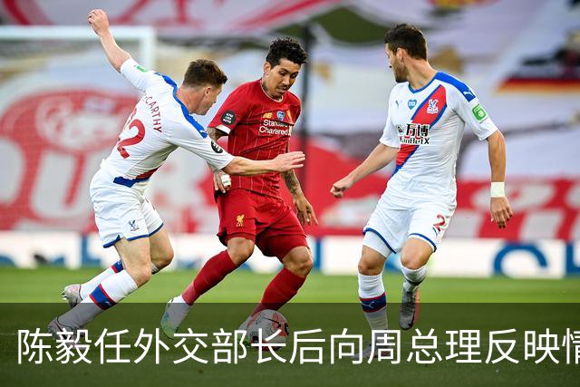 陈毅任外交部长后向周总理反映情况，周总理感叹：这么多人对我有意见啊！