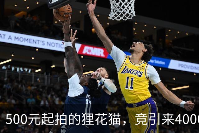 500元起拍的狸花猫，竟引来4000多人抢着交保证金！宠物店还给它拍“蹲大牢”日常，网友：巴山楚水凄凉地，主人没钱拍卖me！