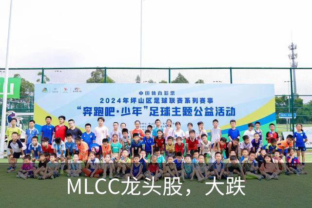 MLCC龙头股，大跌