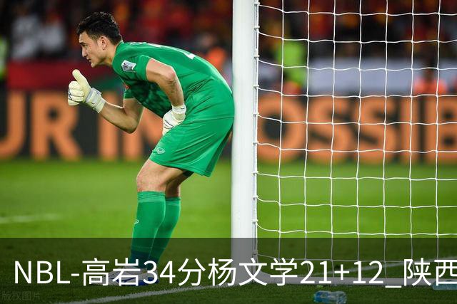 NBL-高岩34分杨文学21+12 陕西信达晋级总决赛